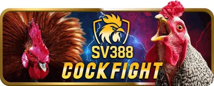 Hỗ trợ khách hàng Vin777vip